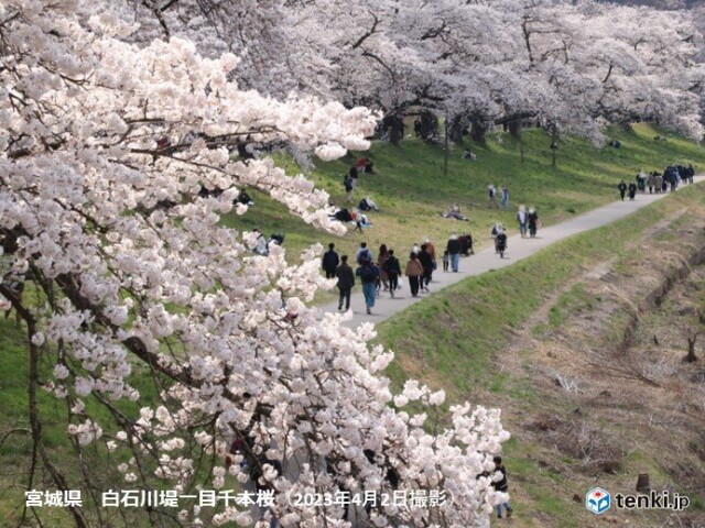 画像B