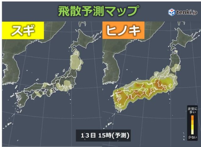 画像A