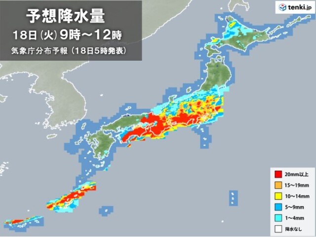 画像B