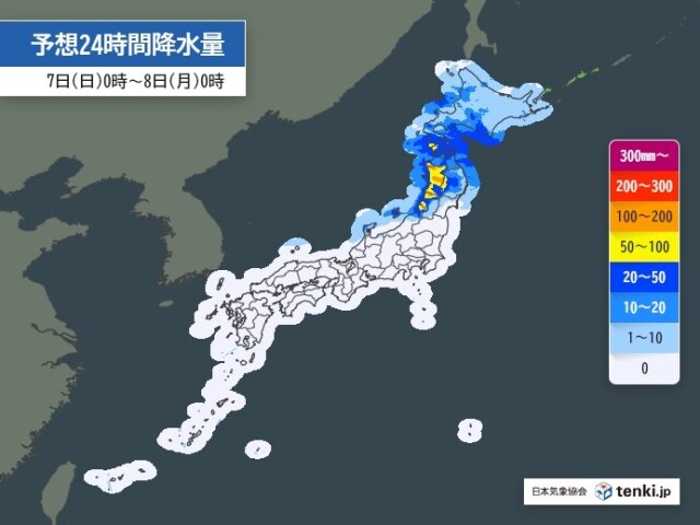 画像D