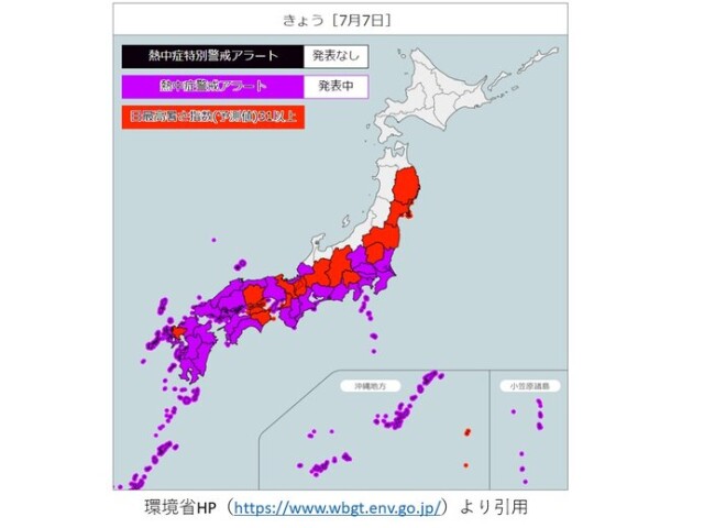 画像C