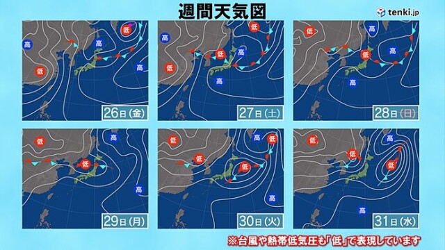 画像D