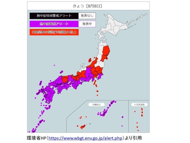 画像D