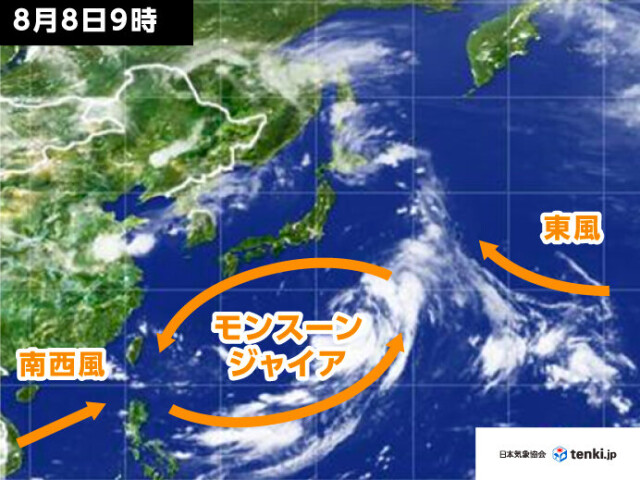 画像A