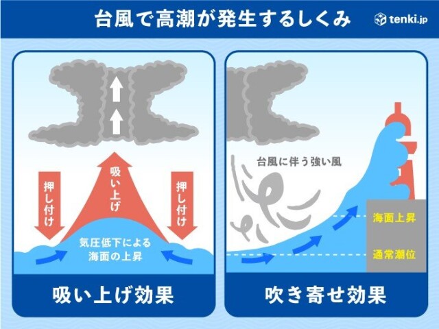 画像D
