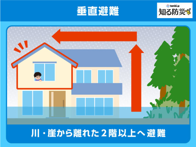 画像D