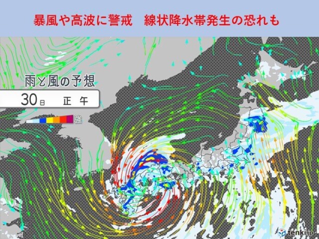 画像D