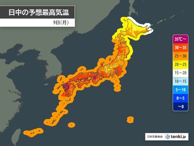 画像B