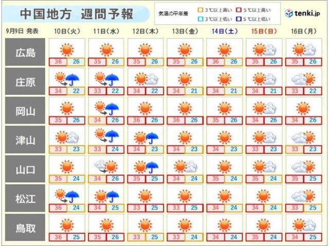 画像D