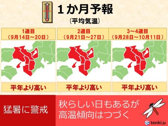 画像A