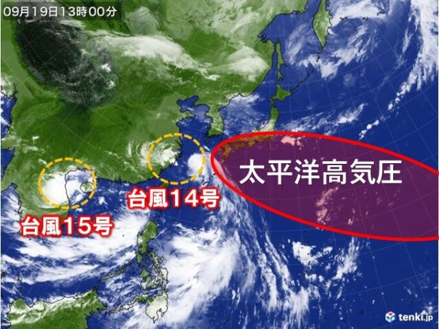 画像B