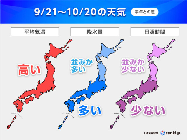 画像B