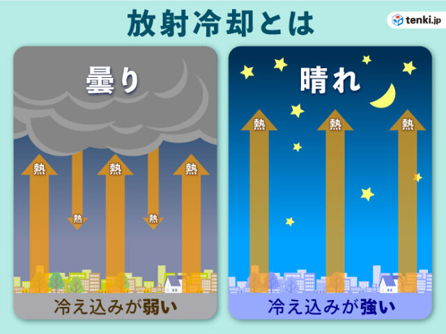 画像B