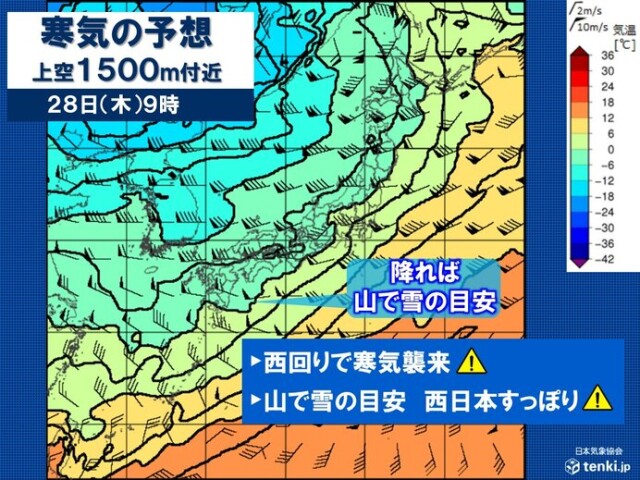 画像C