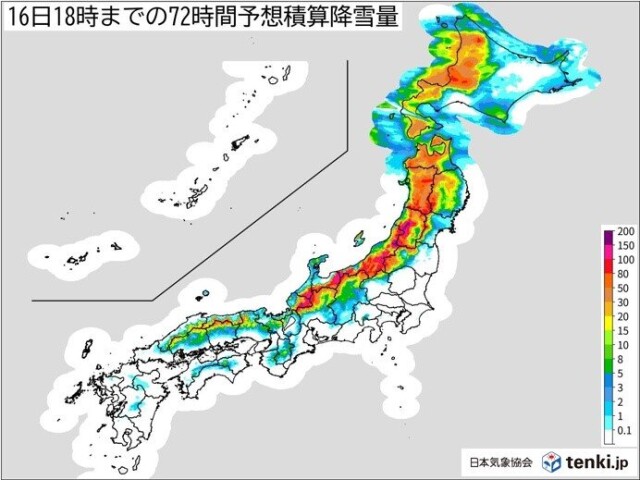 画像C