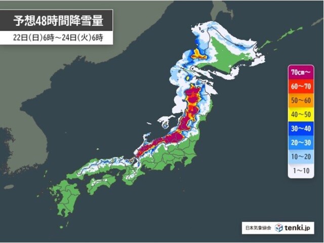 画像B