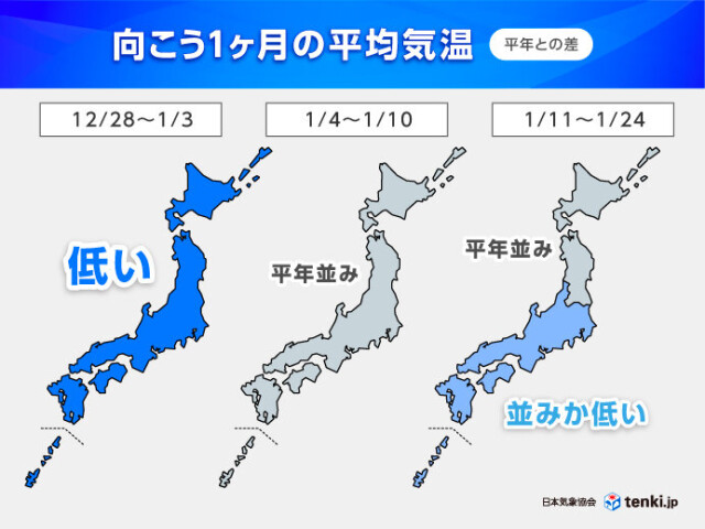 画像B