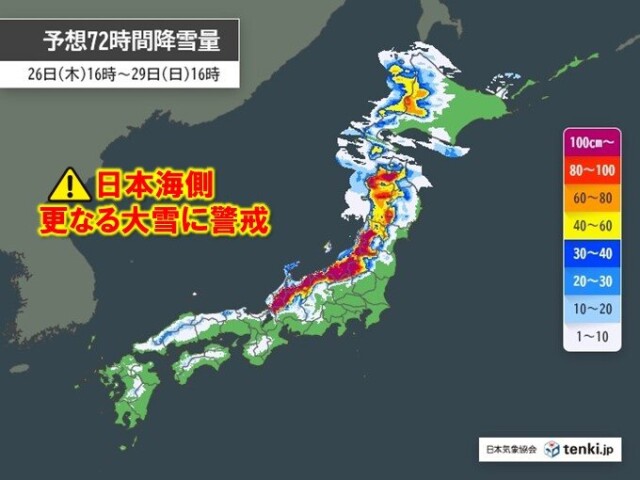 画像D