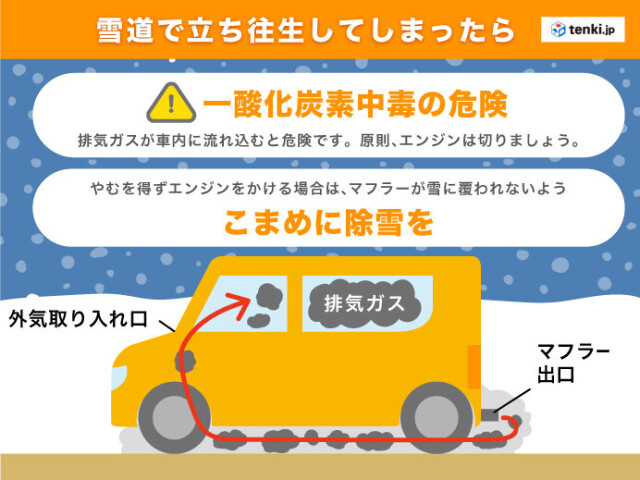 画像D