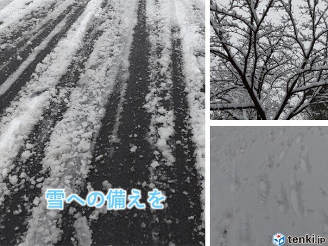 画像D