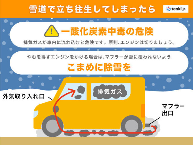 画像C