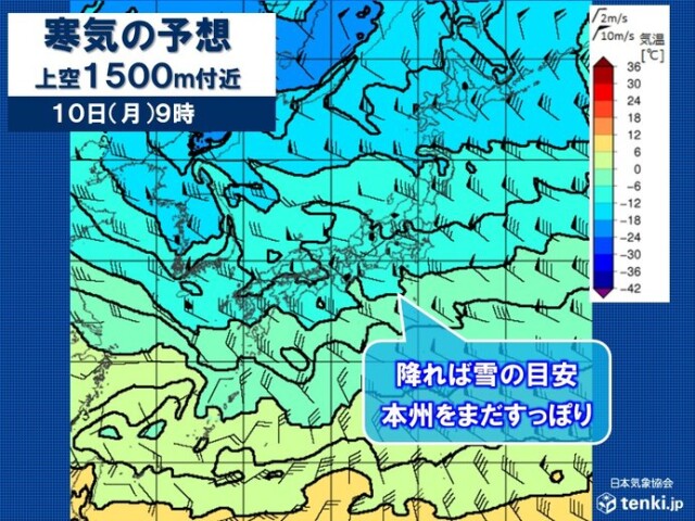 画像A