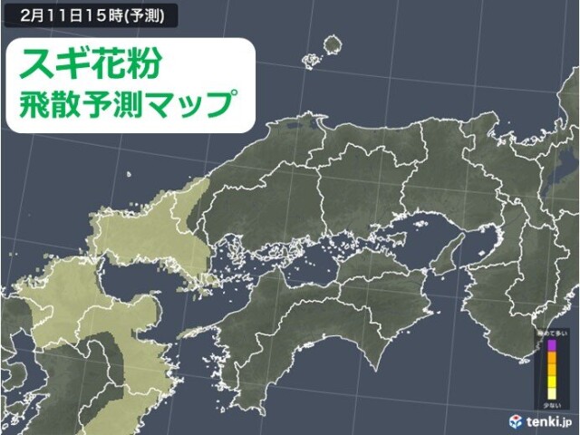画像B