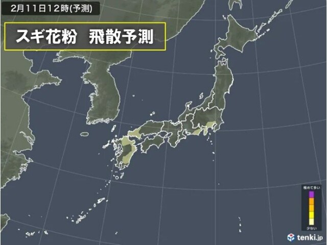 画像A
