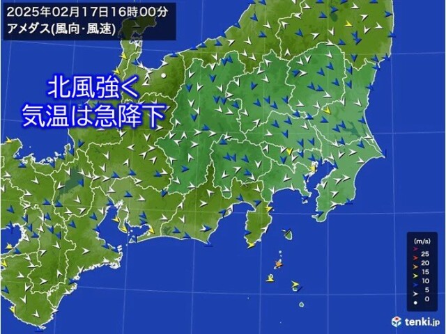 画像B
