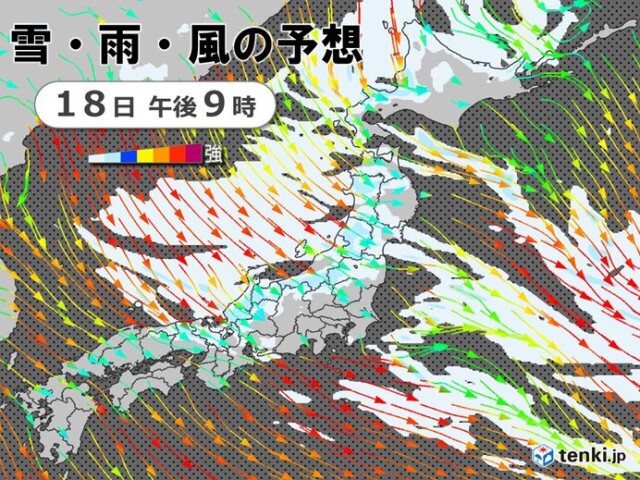 画像B
