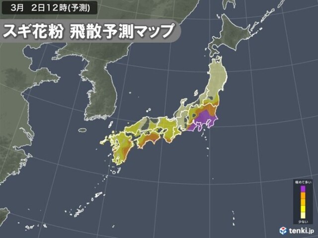 画像B