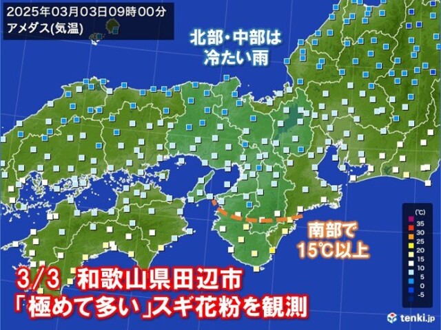 画像A
