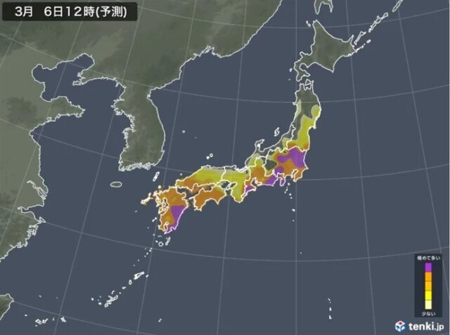 画像A
