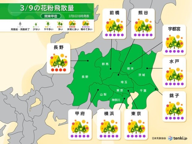 画像A