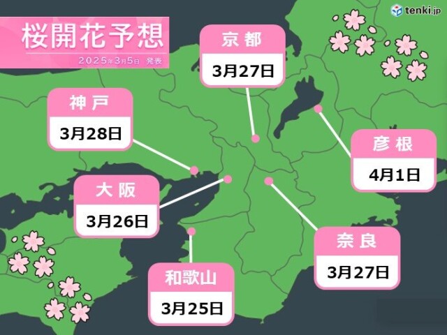 画像B