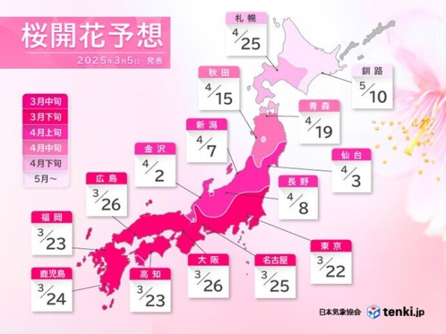 画像D