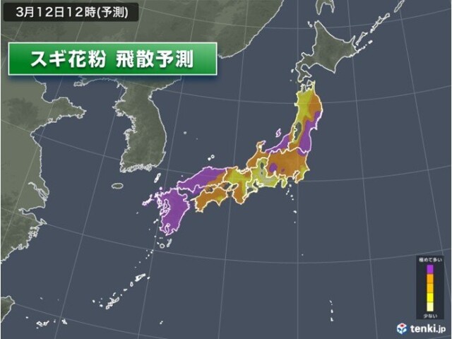 画像A