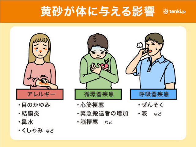 画像B