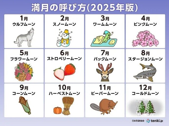 画像C
