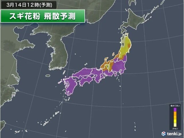 画像A
