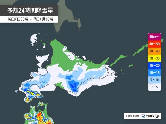画像B