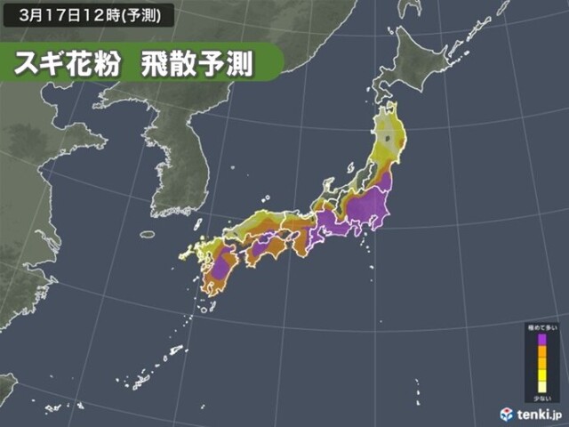 画像A