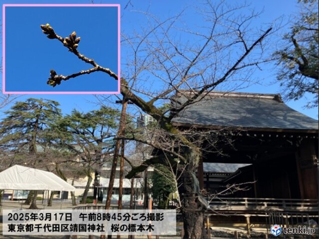 画像C