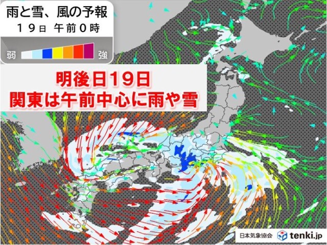 画像B