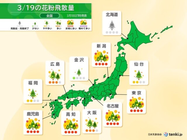 画像A