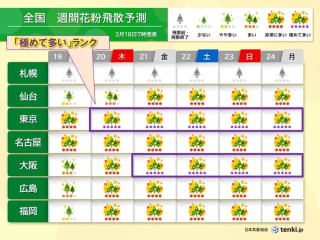 画像B