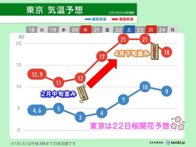 画像B