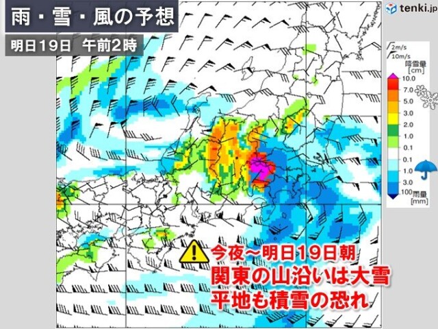 画像C