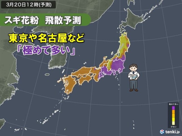 画像A