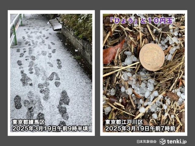 画像A